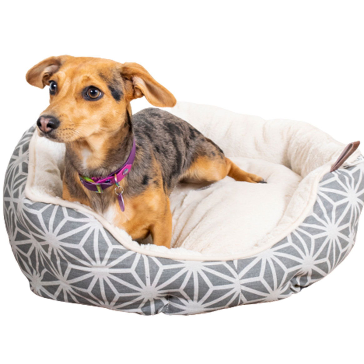 Geometric Cosy Bed Medium