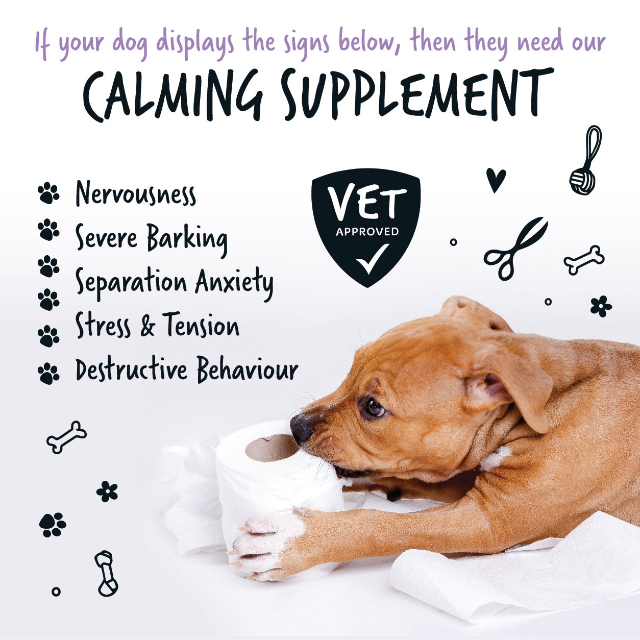 Calming Powder Supplement 80g Pot with spoon