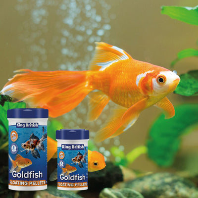 King British Goldfish Floating Pellets 110g