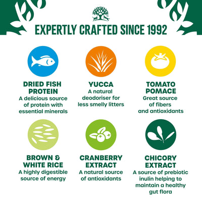 James Wellbeloved Dry Cat Adult Fish 10kg