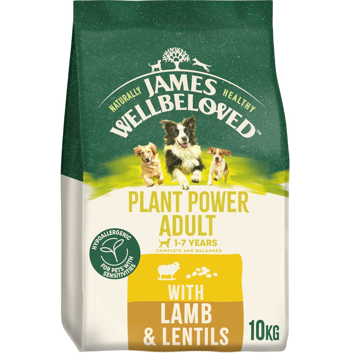 James Wellbeloved Adult Plant Power with Lamb 10kg