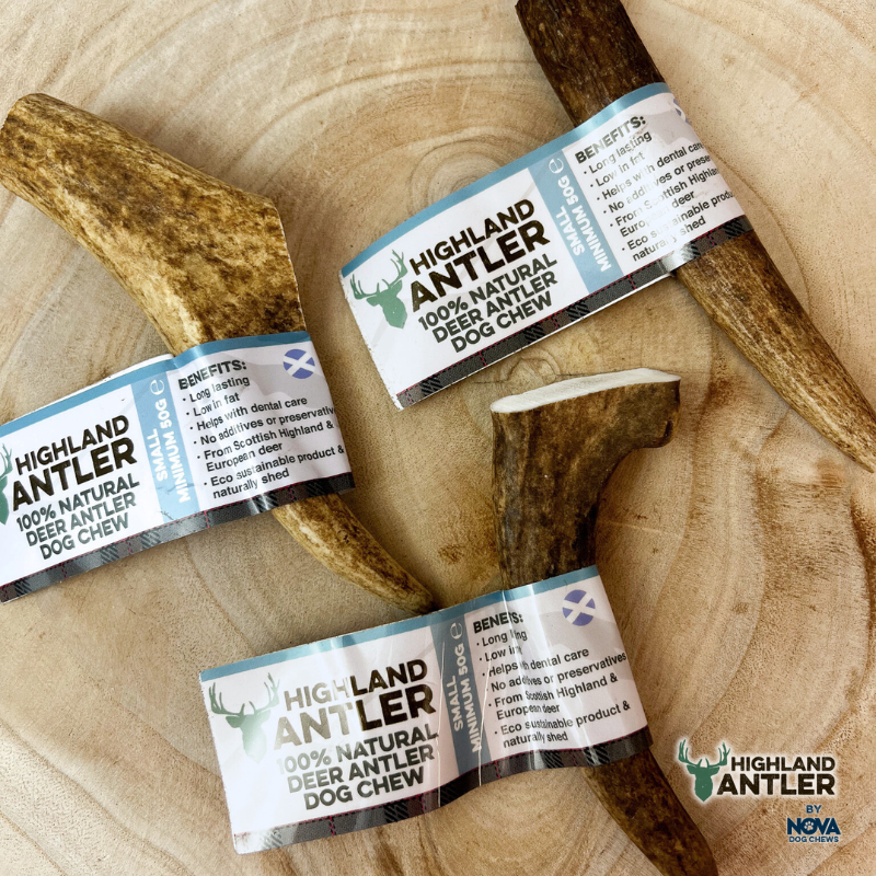 Highland Antler - Antler Small (50-75g)