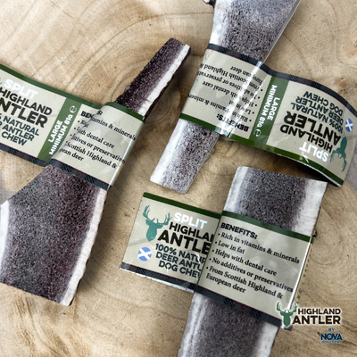 Highland Antler - Split Antler Large (81g-120g)