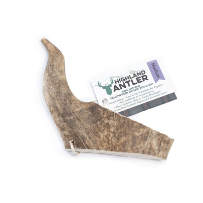 Highland Antler - Fallow Antler Medium (75-150g)