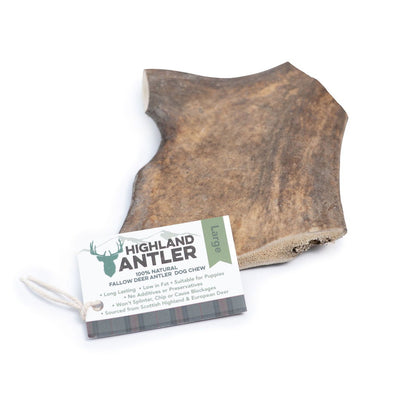 Highland Antler - Fallow Antler Large (150-220g)