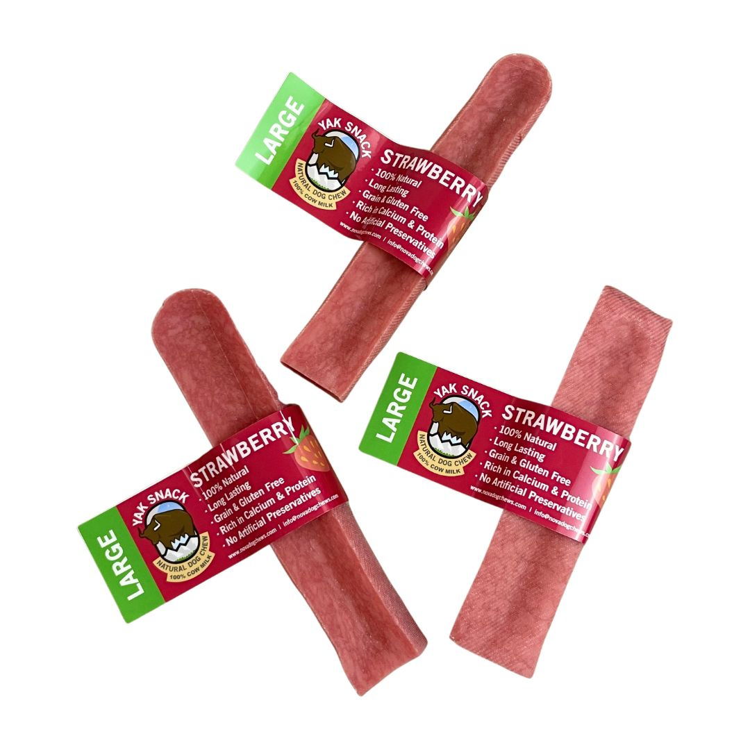 Yak Snack Strawberry Large