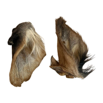 Paddock Farm - Hairy Beef Ears