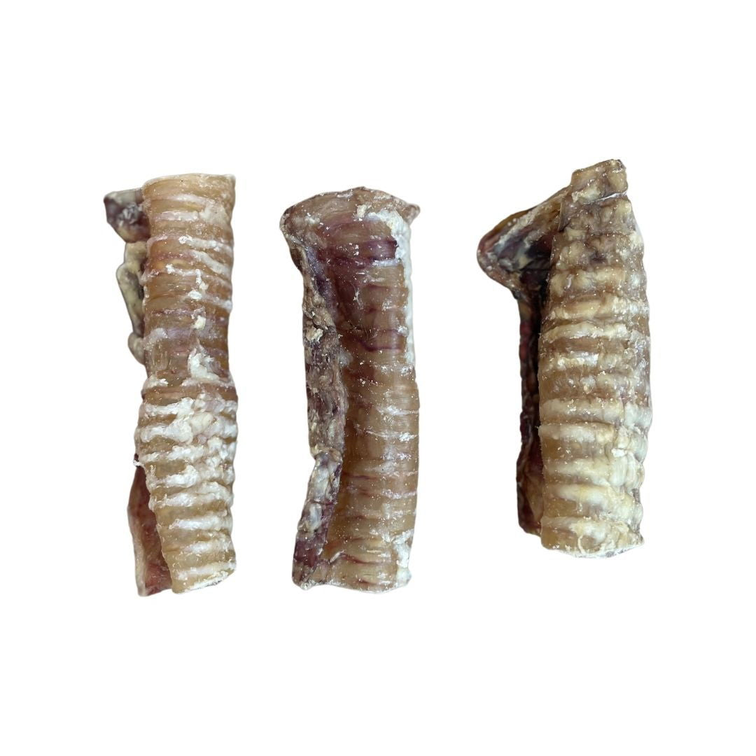 Paddock Farm - Beef Trachea 12 cm