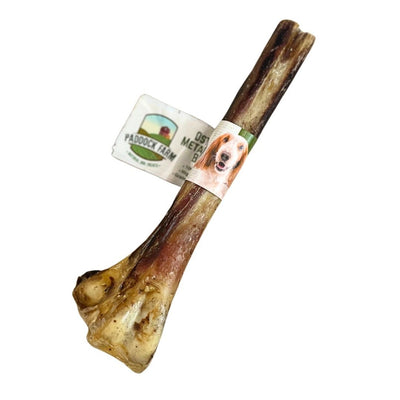 Paddock Farm - Ostrich Metatarsus Bones 5 Pack