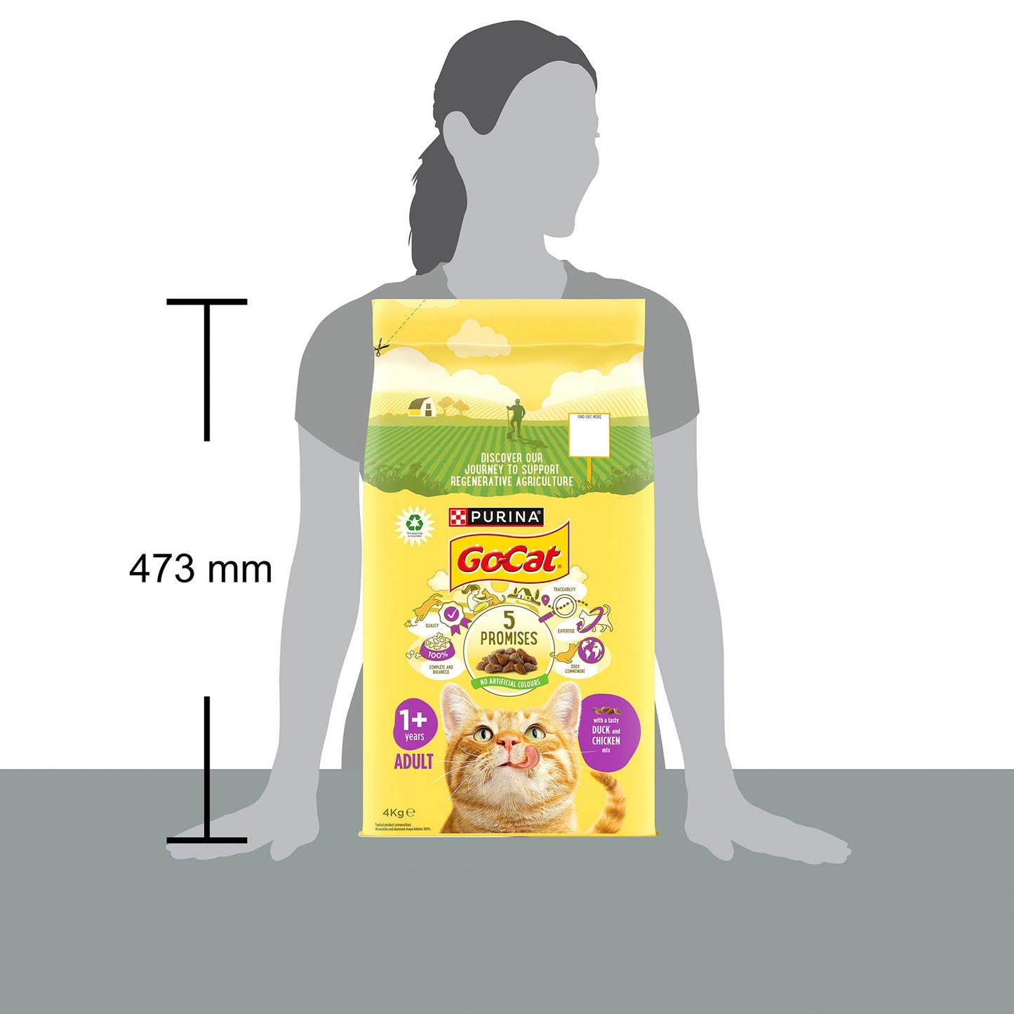 Go-Cat Complete Adult Duck & Chicken 4kg