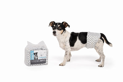 M-PETS Diapers - Male Dog - Large