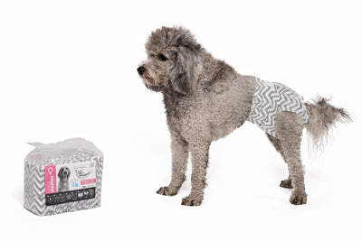 M-PETS Diapers - Female Dog - Large