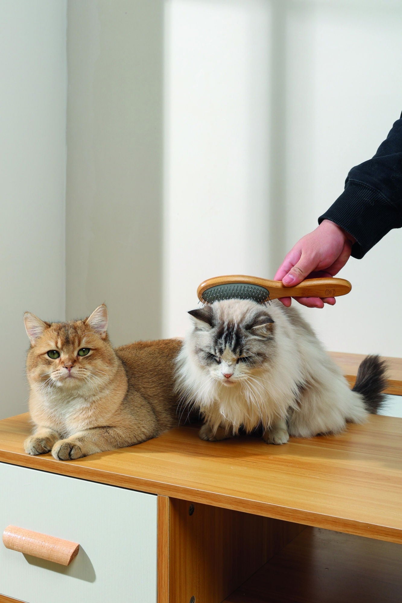 M-PETS Bamboo Ball Pin Brush