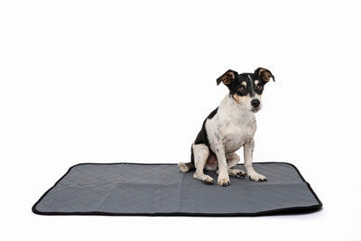 M-PETS Washable Training Pad - Medium