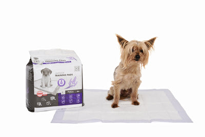 M-PETS Lavender 60 X 60 Training Pads - 30 Pcs