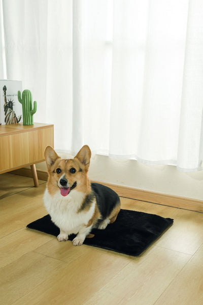 M-PETS Warmo Self Heating Mat Small