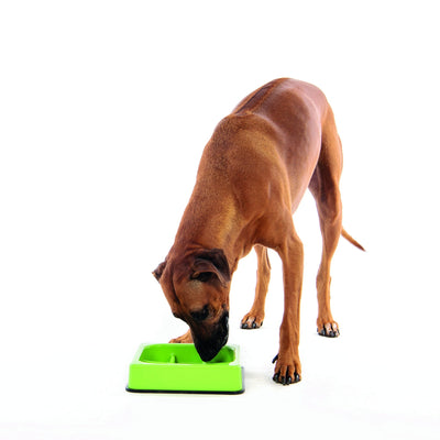 M-PETS Waffle - Slow Feed Bowl Checkered Green