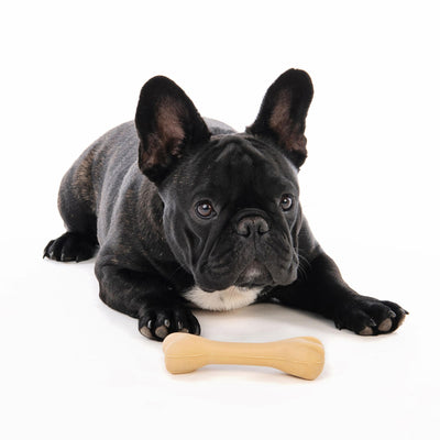 M-PETS Greenbo Natural Rubber Bones - Small