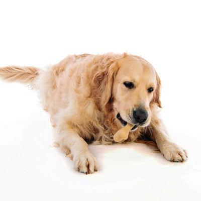 M-PETS Greenbo Natural Rubber Bones - Large