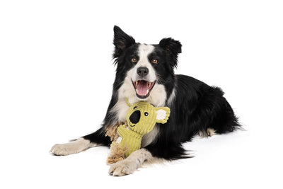 M-PETS Lars Eco Dog Toys