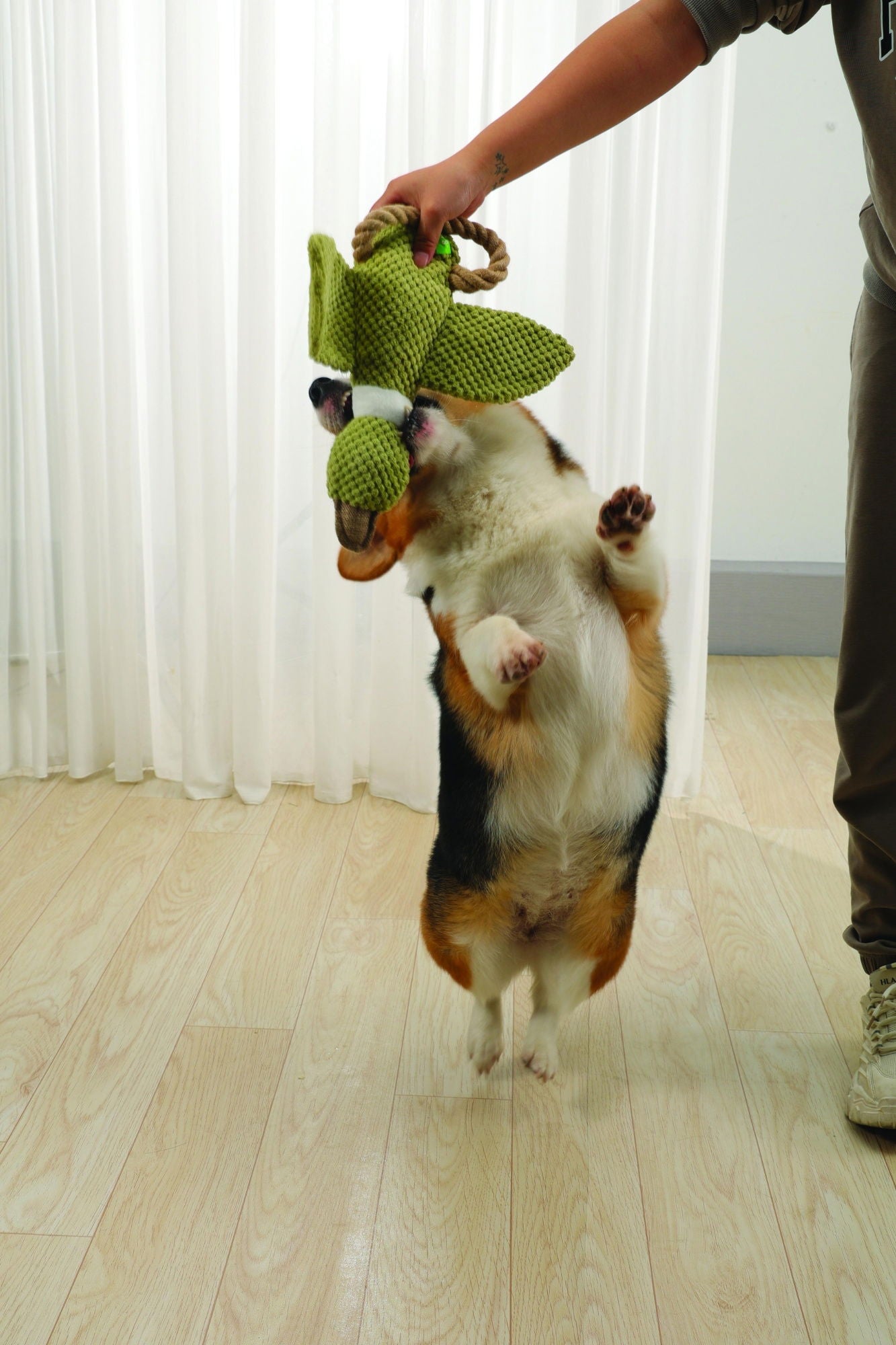 M-PETS Buck Eco Dog Toy
