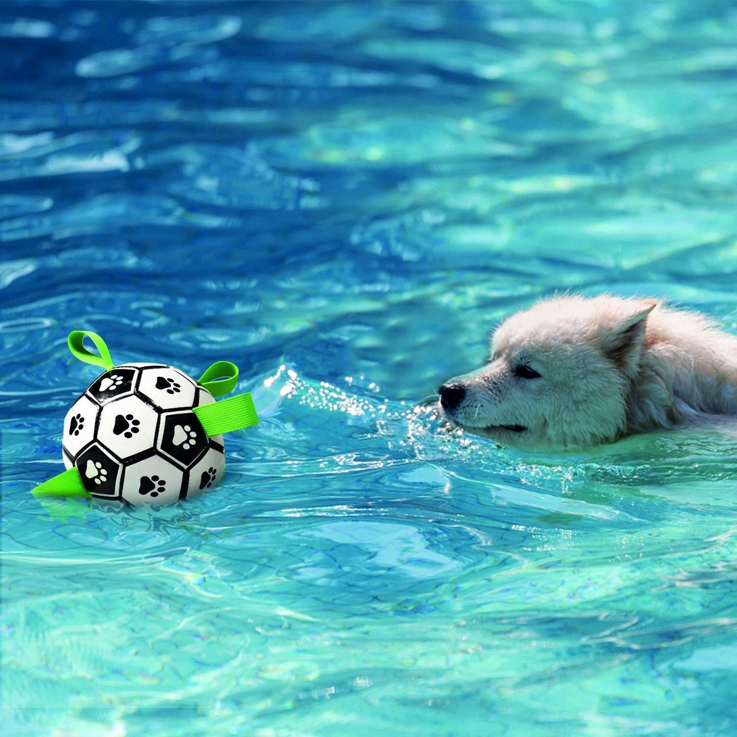 M-PETS Soccer Ball