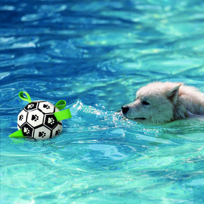 M-PETS Soccer Ball