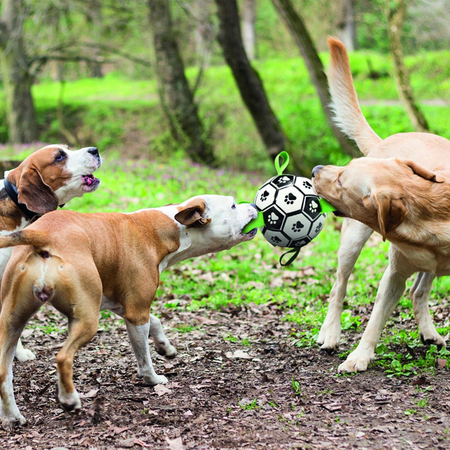M-PETS Soccer Ball