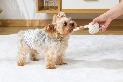 M-PETS Coto White Loop Ball 6.5 Cm