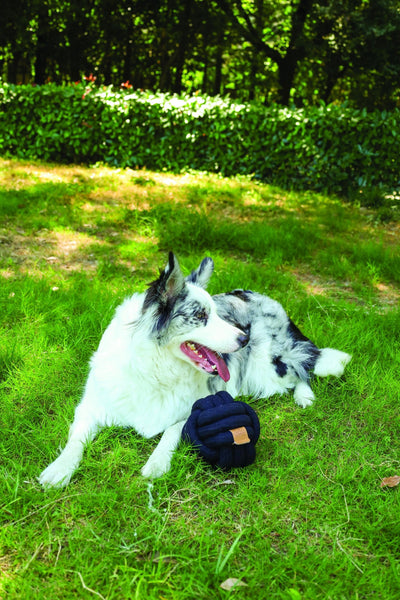 M-PETS Coto Black Ball 15 Cm