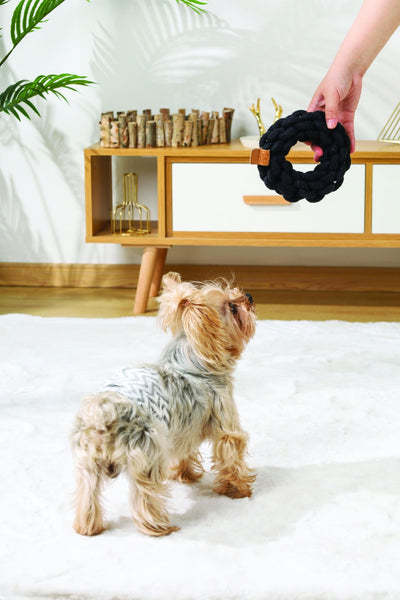 M-PETS Coto Black Ring 13 Cm