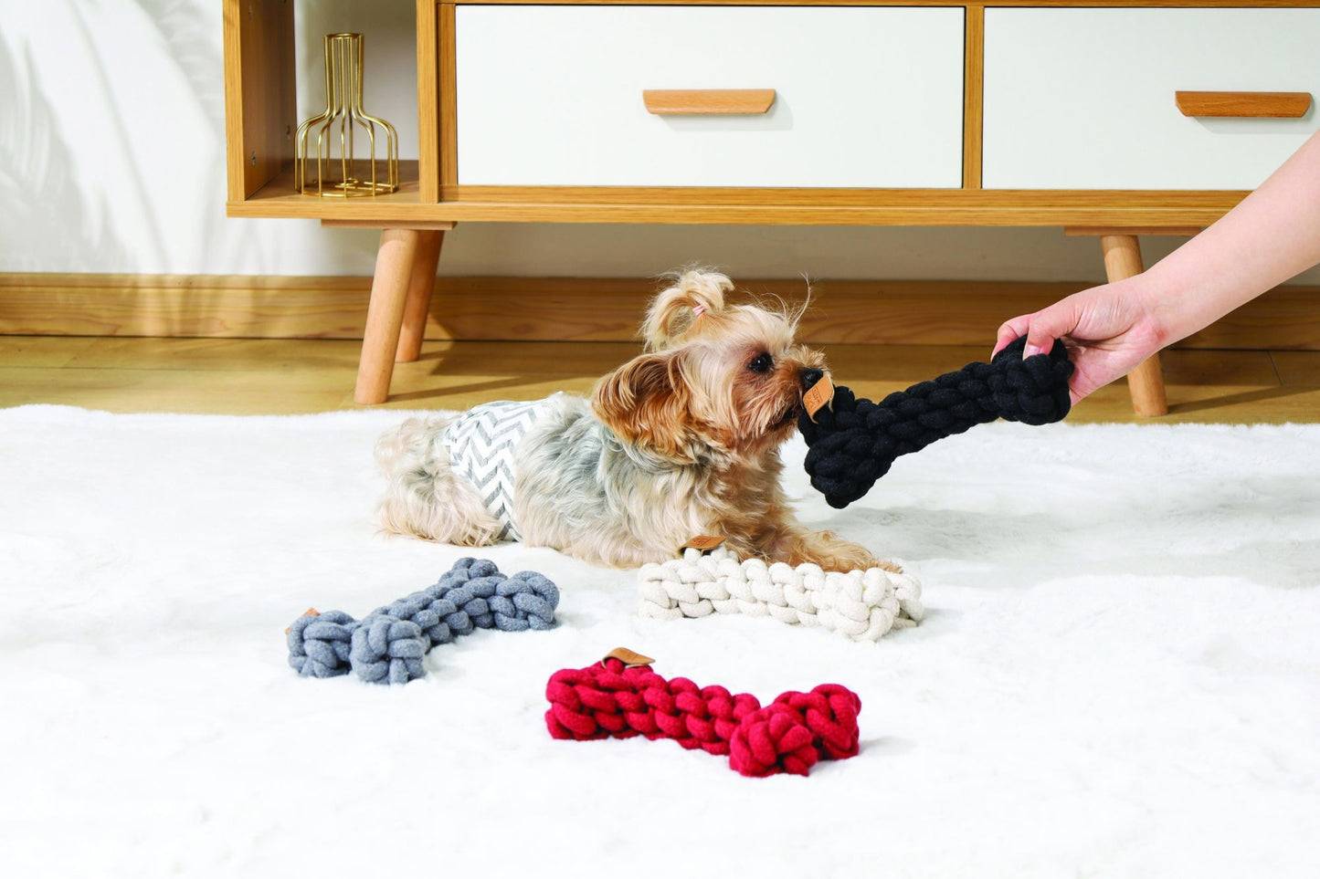 M-PETS Coto Black Bone 19 Cm