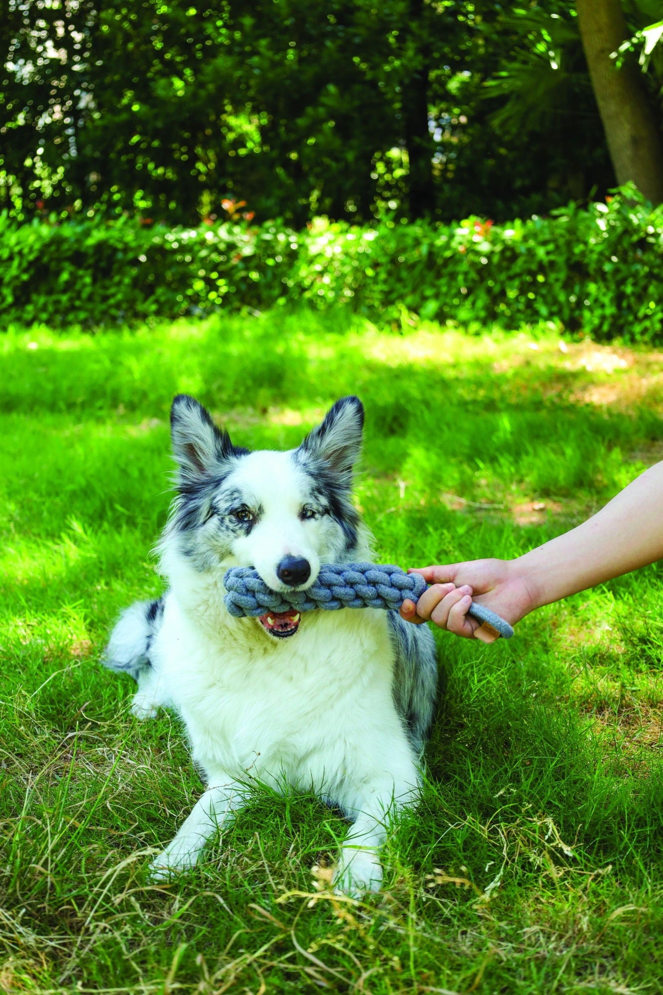 M-PETS Coto Grey Loop Bar 34 Cm
