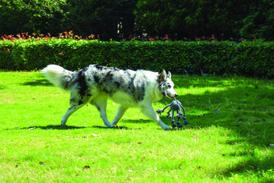 M-PETS Coto Eco Rope Dog Toys Grey Cross 60cm