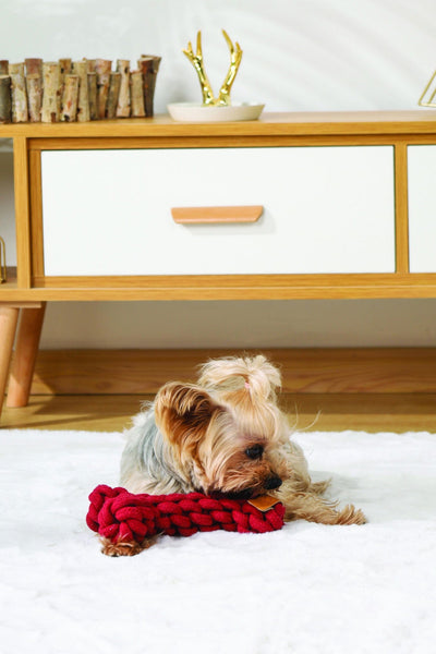 M-PETS Coto Eco Rope Dog Toys Red Bone 19 Cm