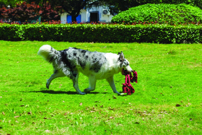 M-PETS Coto Eco Rope Dog Toys Red Cross 60cm