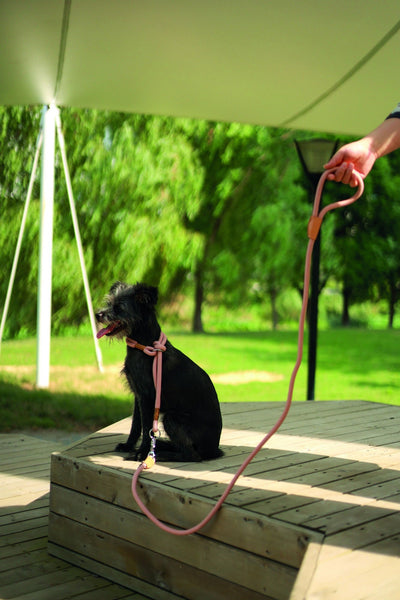 M-PETS Eco Dog Leash & Collar 2 In 1 M - Pink