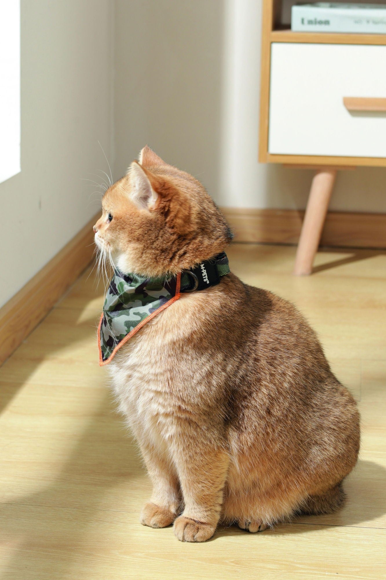 M-PETS Wild Jungle Bandana Xtra Small