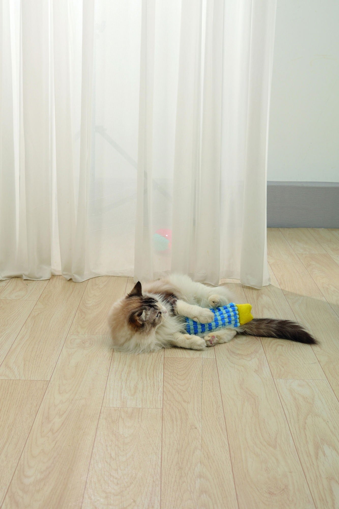 M-PETS Herby Catnip Toy Assorted