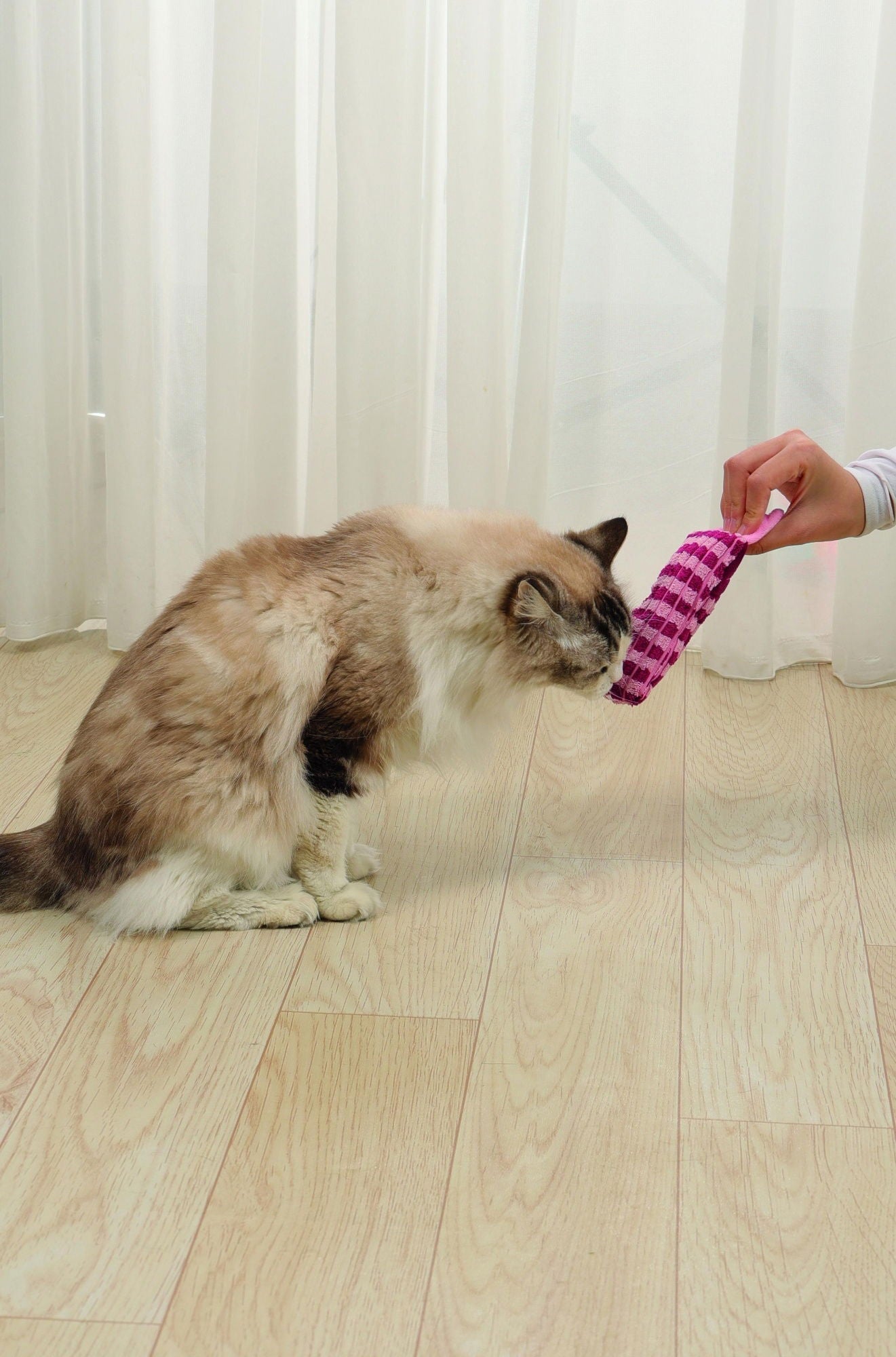 M-PETS Herby Catnip Toy Assorted