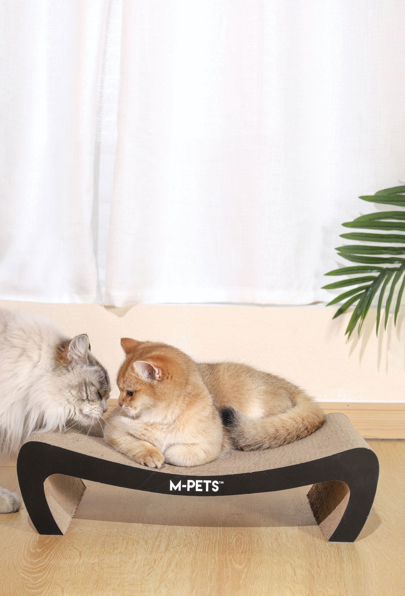 M-PETS My Scratchy Cat Cardboard Scratchers - Kansas