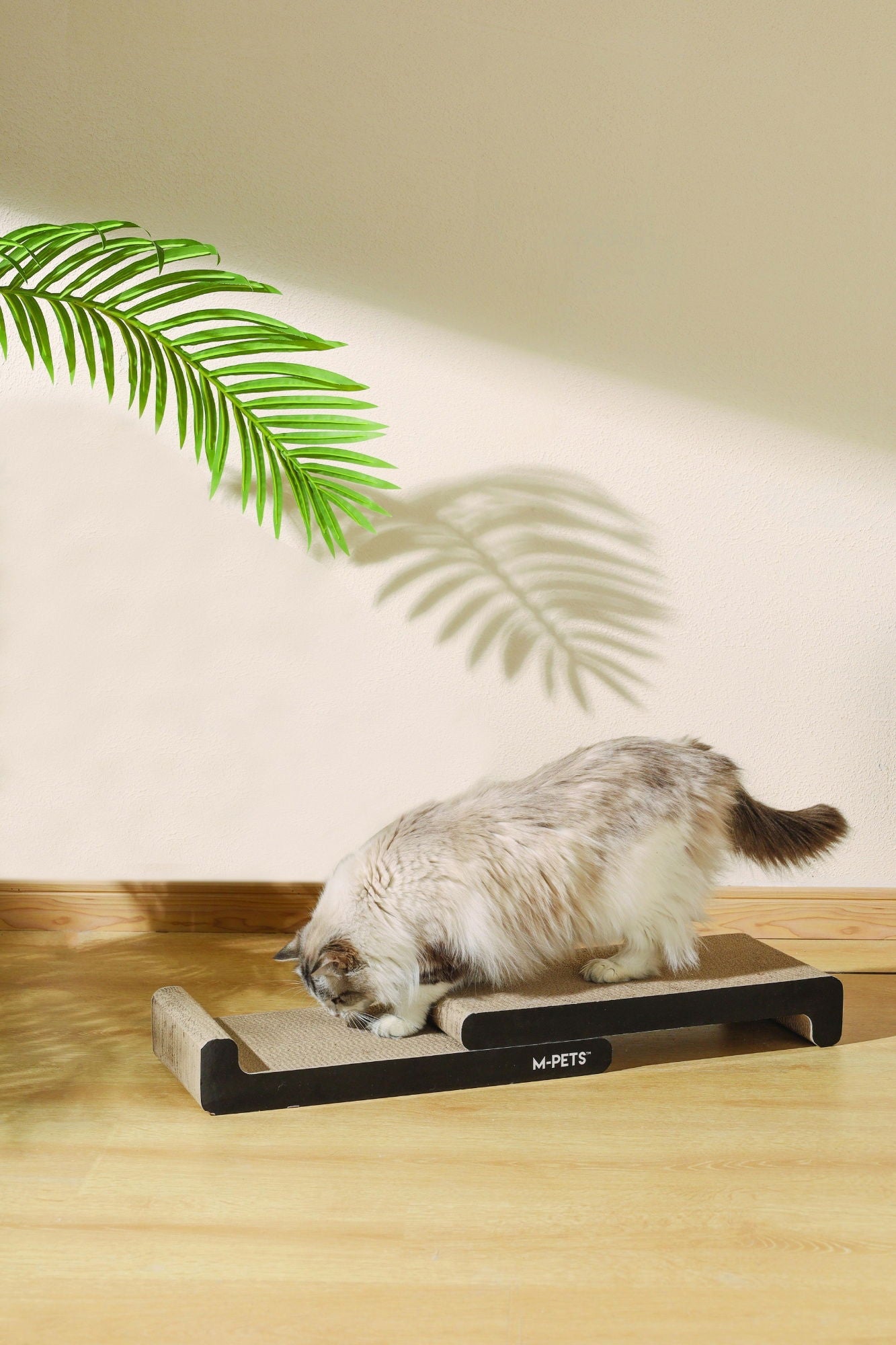 M-PETS My Scratchy Montana Cat Cardboard Scratchers