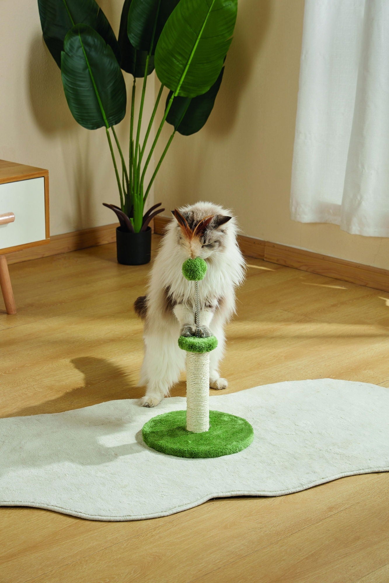 M-PETS My First Cat Tree Feather Green