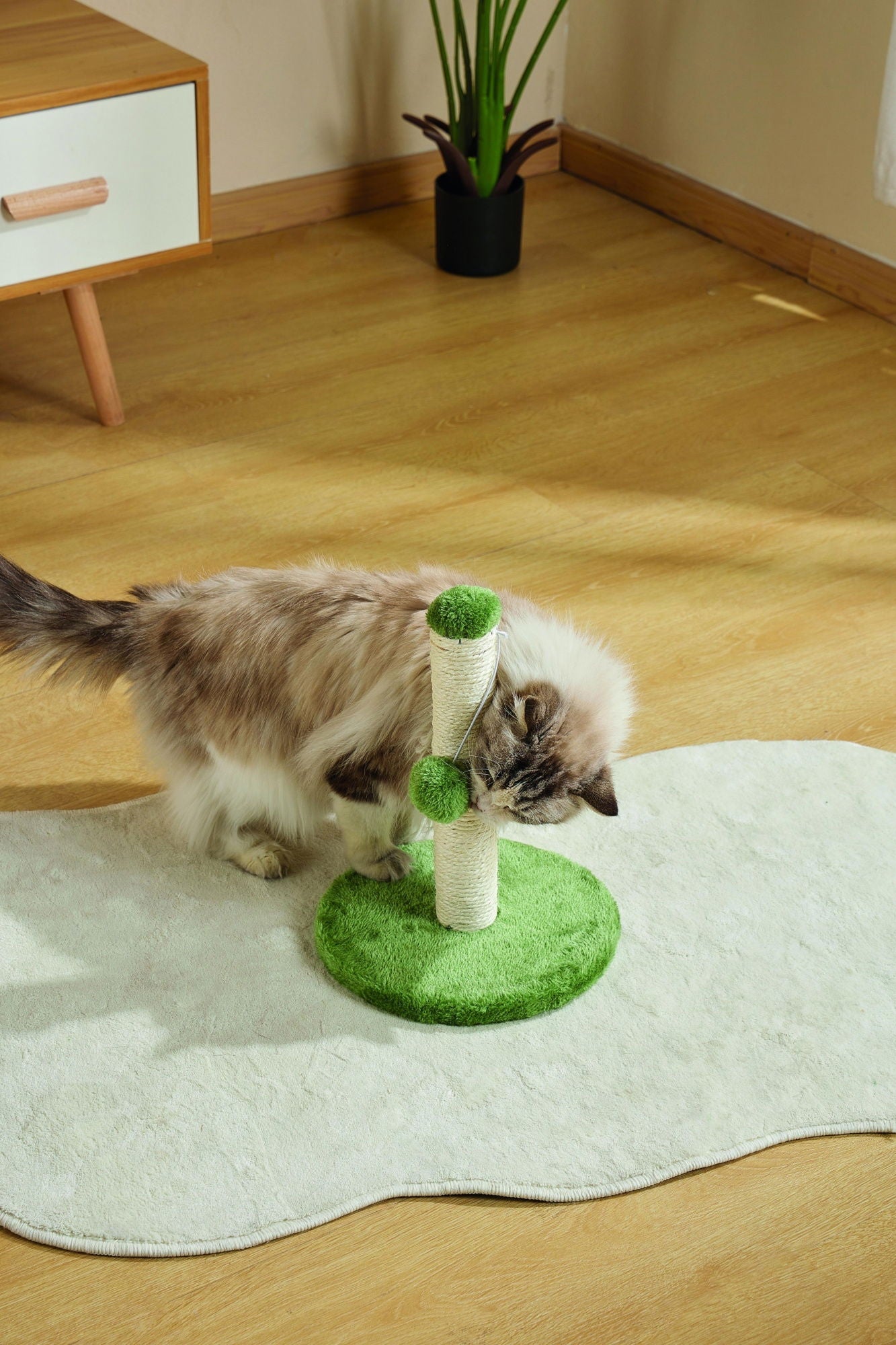 M-PETS My First Cat Tree Pompom Green