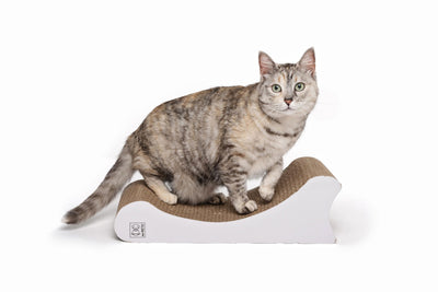 M-PETS Wichita Scratch Board - 45 X 20 X 13.8 Cm