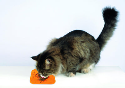 M-PETS Lecca Mat Orange Medium