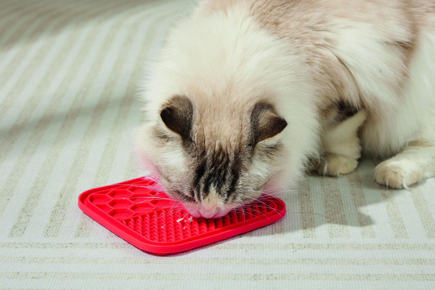 M-PETS Lecca Mat Red Small