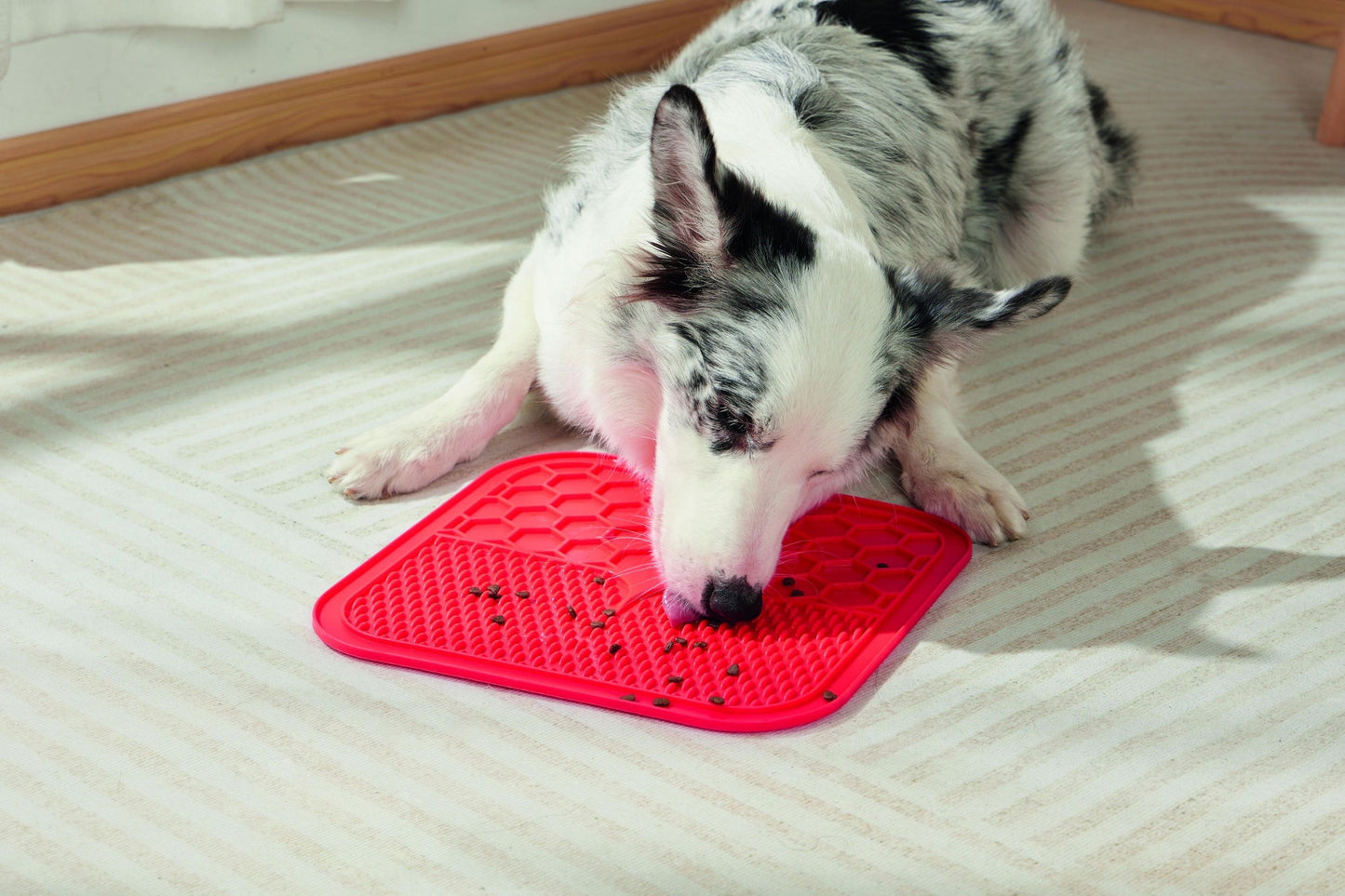 M-PETS Lecca Mat Red Large