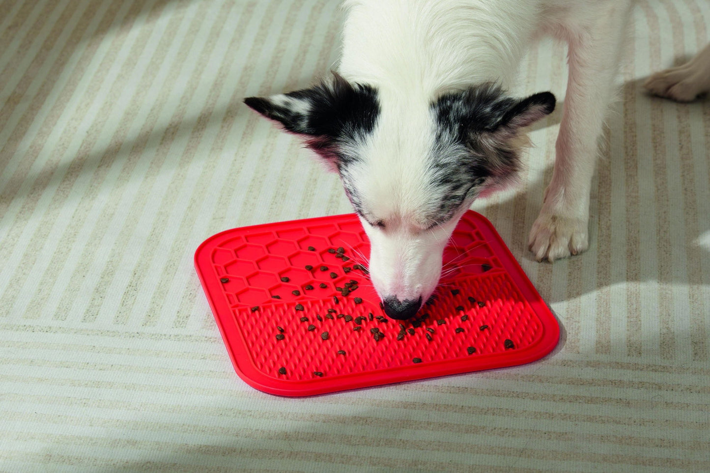 M-PETS Lecca Mat Red Large
