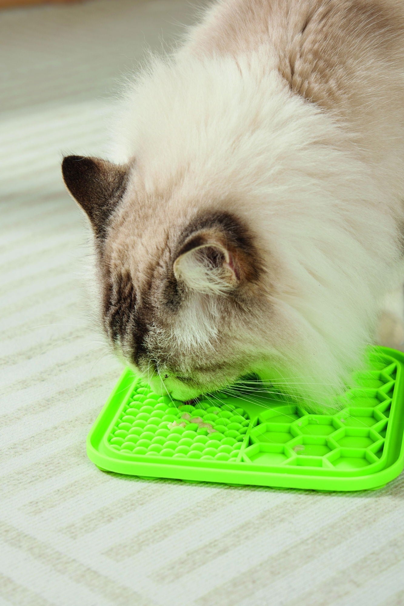 M-PETS Lecca Mat Green Small